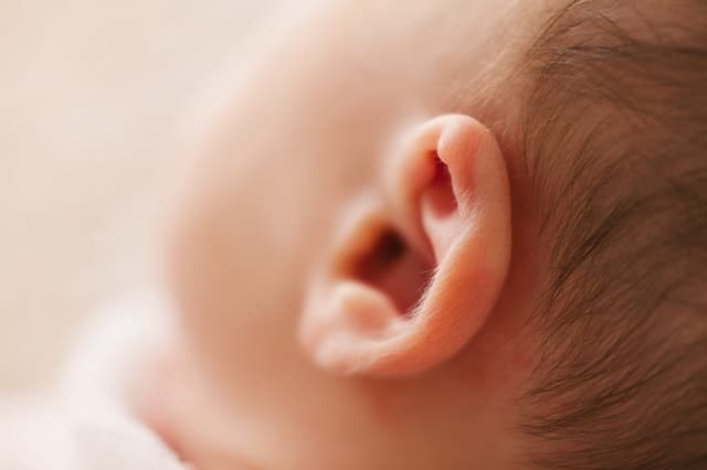 close up on a child's ear