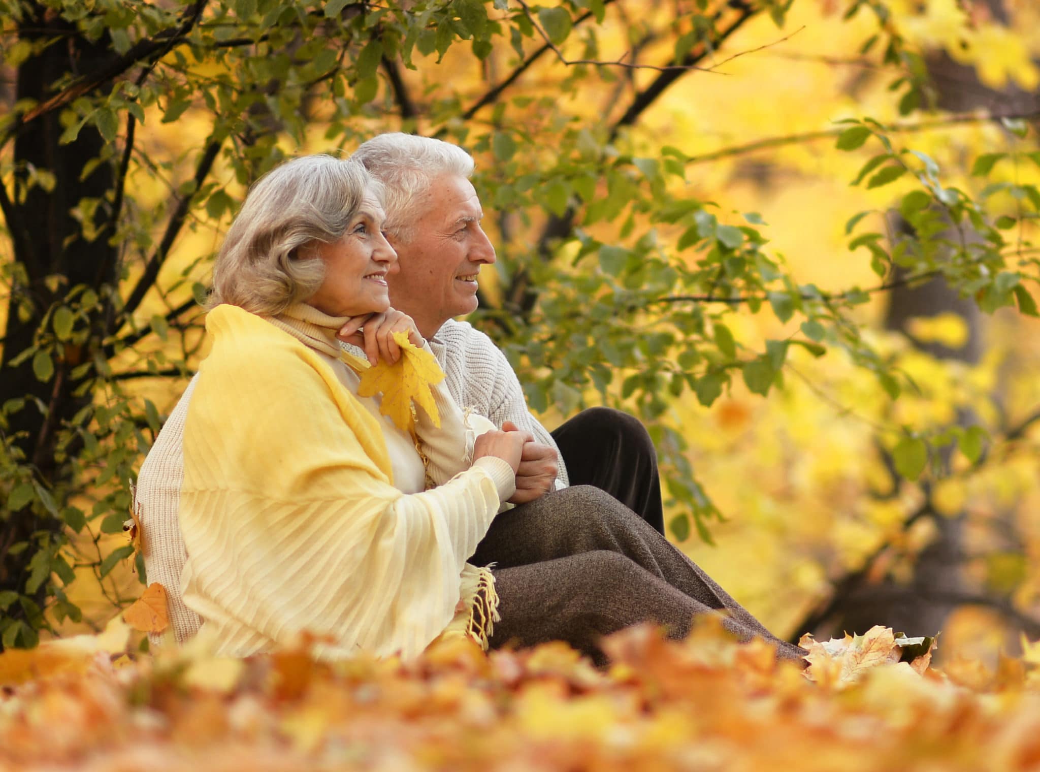 older couple sitting in a park in the fall