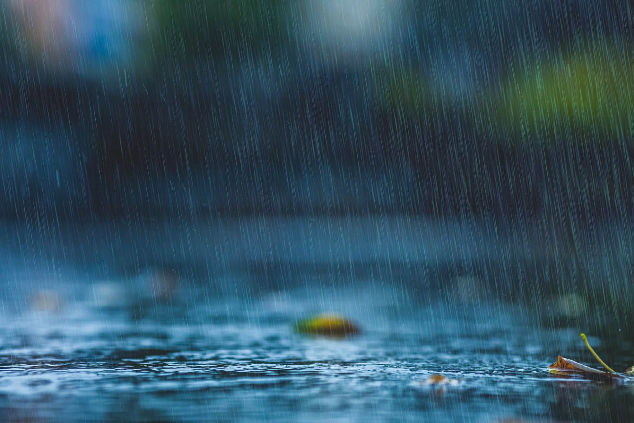 Raindrops on asphalt. Rain. Rainy weather. Downpour