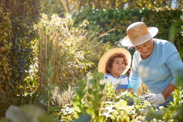 An older woman and child are outdoors gardening on a sunny day. They are wearing matching straw sunhats and the child looks up expectantly at the woman as she manipulates a plant while wearing yard work ready gloves.